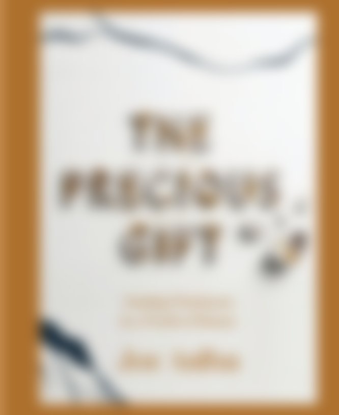 The Precious Gift — Cover Coming Soon